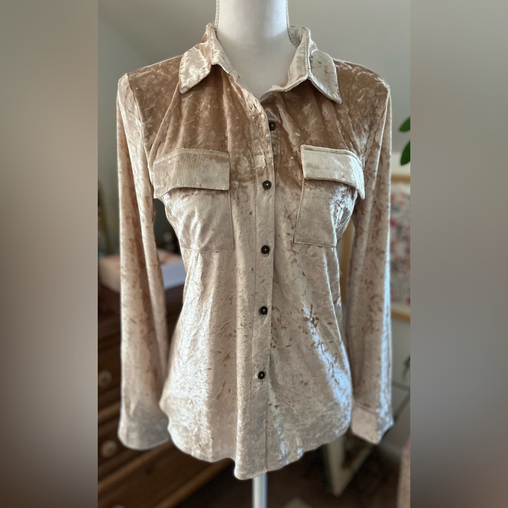 Amoli velvet blouse